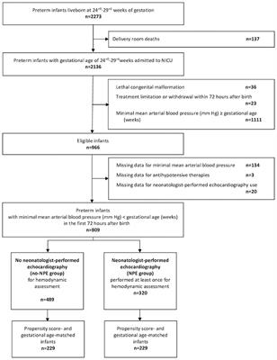 In-hospital Outcomes and Early Hemodynamic Management According to Echocardiography Use in Hypotensive Preterm Infants: A National Propensity-Matched Cohort Study